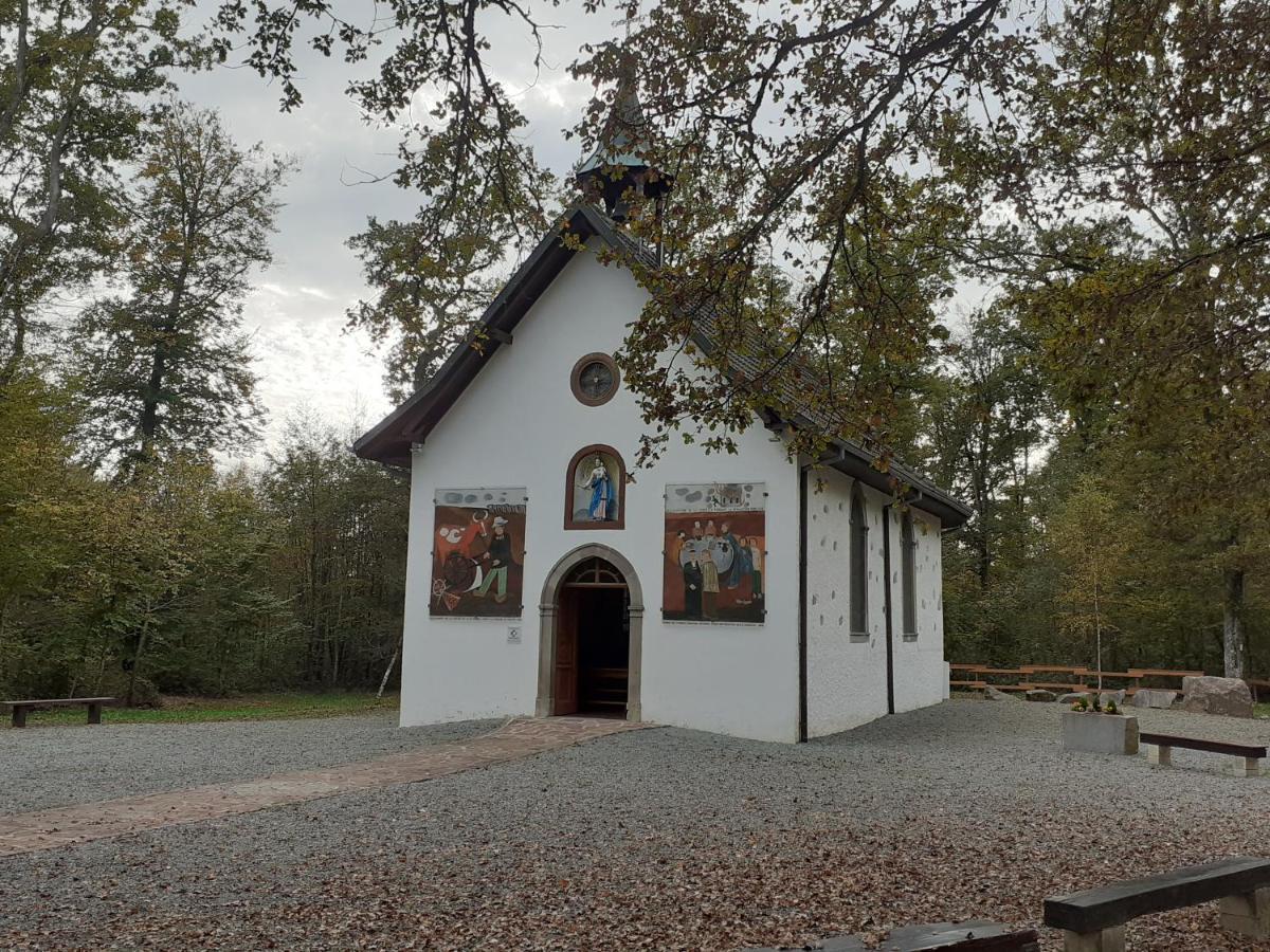 A l'Orée du Bois Guewenheim Esterno foto