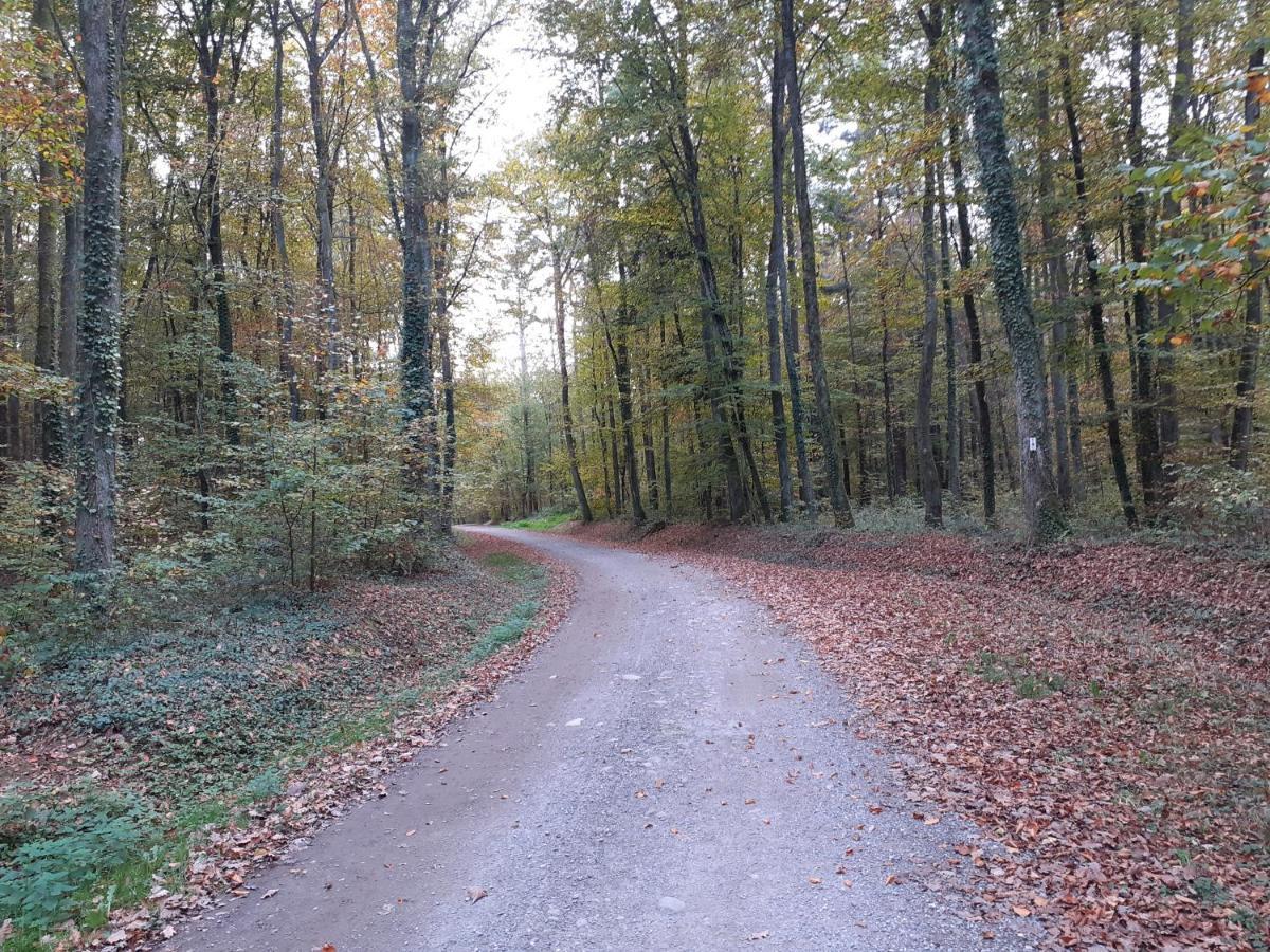 A l'Orée du Bois Guewenheim Esterno foto